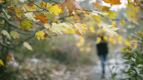 Una Mujer Años Edad Oriente Medio Caminando Naturaleza Temporada Otoño — Vídeos de Stock