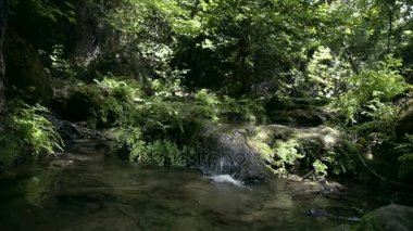 Küçük şelale ve doğa akışında.