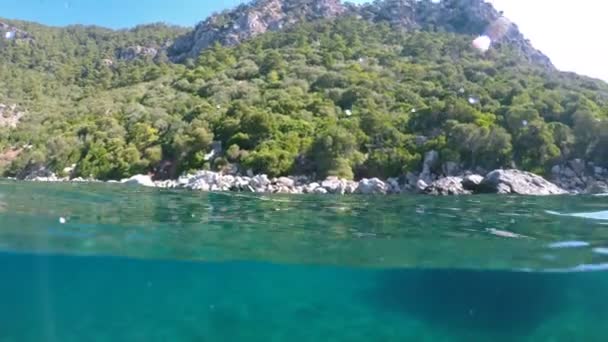 Halbe Unterwasserlandschaft Mit Einem Großen Felsen — Stockvideo