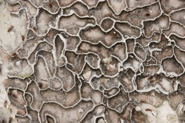 Travertenleri, Pamukkale Denizli Türkiye'de arka plan desen.