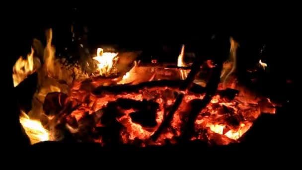 Fuego Cerca Imágenes Noche — Vídeo de stock