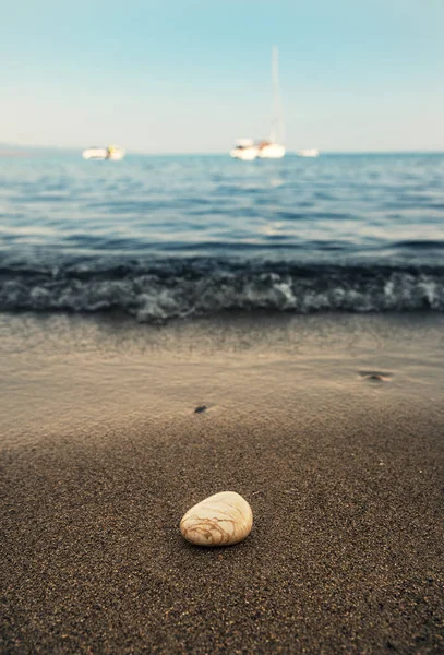 One stone at the beach — Stock Photo, Image