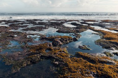 Okyanus gelgit ve peyzaj kayalar