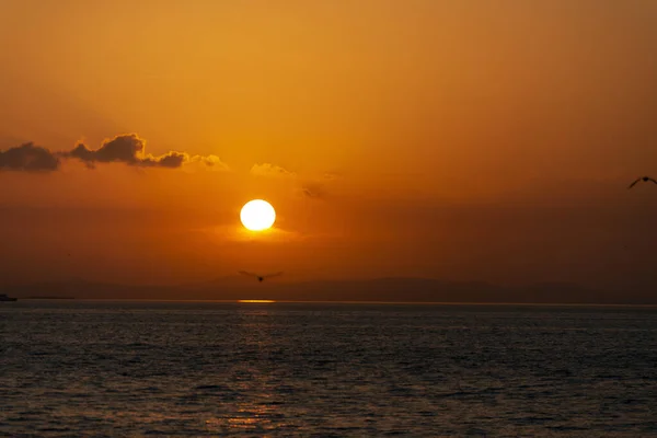 Vista del atardecer con gaviotas y mar . —  Fotos de Stock