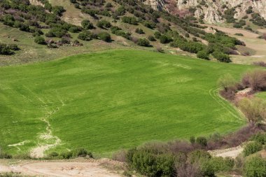 Çimen alanı manzara arkaplanı.