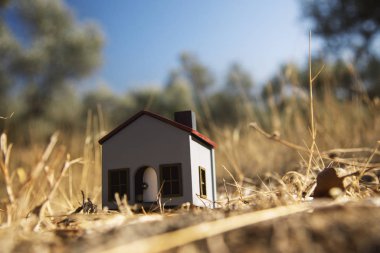 Zeytin tarlasına doğru el yapımı ev.
