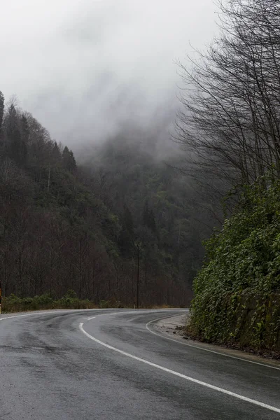 在山间弯曲潮湿的道路. — 图库照片