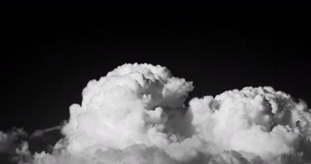 Humo Blanco Como Nubes Fondo Cielo Negro Metraje Timelapse — Vídeo de stock