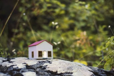 Kayadaki model ev ve arka planda yeşil orman var.