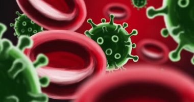 Kırmızı kan hücrelerinin ve yeşil renkli koronavirüslerin Cgi animasyonu.