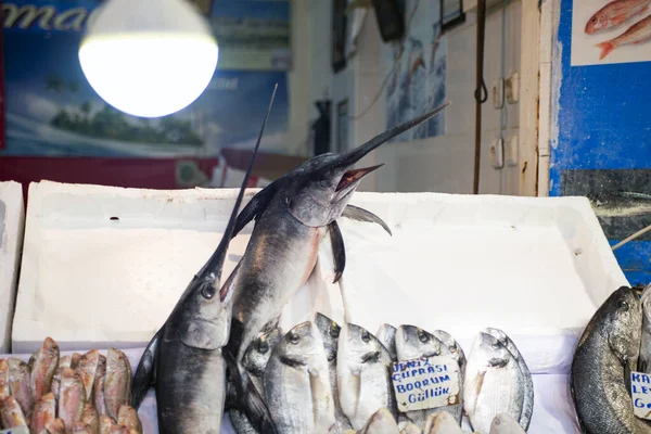 Swordfish Counter Fish Bazaar — Stock Photo, Image