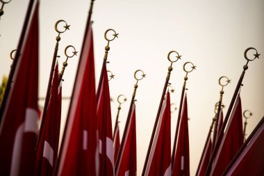 Türkiye Cumhuriyeti Festivali 'nde öğrencileri taşıyan Türk bayrakları.