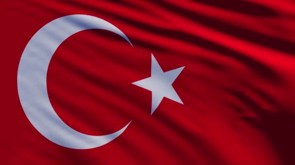 Gros Plan Cgi Render Waving Turkish Flag Texture — Video