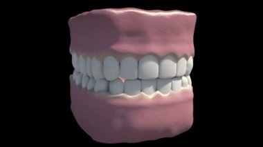 This is a dental overview