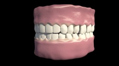 Bu video bruksizmi gösteriyor.