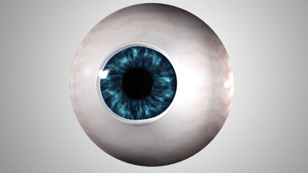Este Vídeo Mostra Anatomia Dos Olhos — Vídeo de Stock