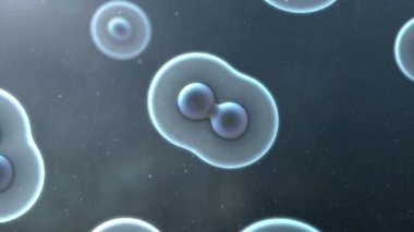 Bu bir hücre bölünme döngüsü arka planı