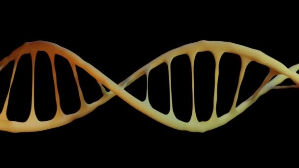 Questo Ciclo Elica Del Dna — Video Stock