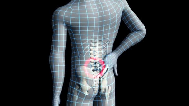 Video Shows Wireframe Man Suffering Lower Back Pain — Stock Video