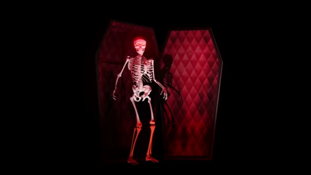 Scary Skeleton Coming Out Coffin — Stock Video
