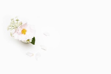 Çiçekler beyaz arka plan üzerinde. Düz yatıyordu. Mock-up Resepsiyon. Güzellik 