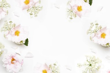 Çiçekler beyaz arka plan üzerinde. Düz yatıyordu. Mock-up Resepsiyon. Güzellik 