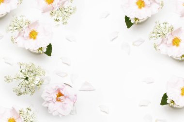 Çiçekler beyaz arka plan üzerinde. Düz yatıyordu. Mock-up Resepsiyon. Güzellik 