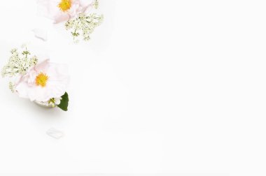Çiçekler beyaz arka plan üzerinde. Düz yatıyordu. Mock-up Resepsiyon. Güzellik 