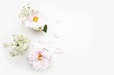 Flowers on white background. Flat lay. Mock-up desk. Beauty  clipart