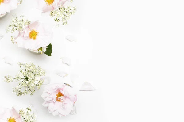 Flores sobre fundo branco. Deitado. Uma secretária falsa. Beleza — Fotografia de Stock