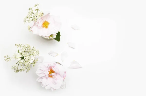 Flowers on white background. Flat lay. Mock-up desk. Beauty — Stock Photo, Image