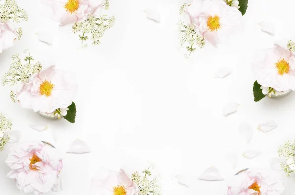 Flores sobre fondo blanco. Acostado. Mock-up escritorio. Belleza —  Fotos de Stock