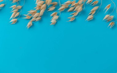 Kurumuş çiviler parlak mavi arka planda yatıyordu.