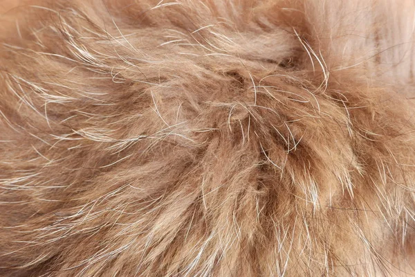 美しい自然フォックス毛皮 デザインの背景 テクスチャ — ストック写真
