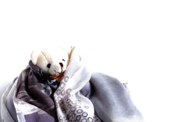Игрушечный Медведь Завернутый Одеяло Белый Фон — стоковое фото