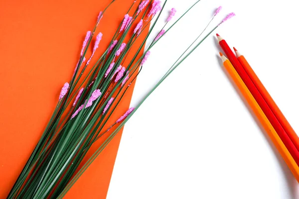 Zwei Orangefarbene Und Ein Roter Bleistift Auf Weißem Und Orangefarbenem — Stockfoto
