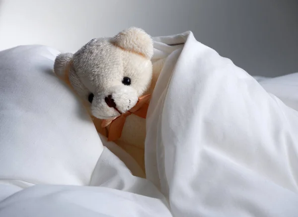 The bear sleeps in a soft bed made of a down pillow and a blanket. Soft toy. Bear soft beige