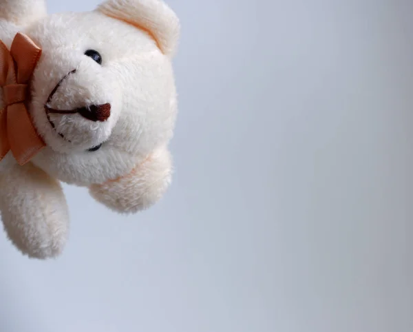 Який Іграшковий Ведмідь Дивлячись Кута Тло — стокове фото