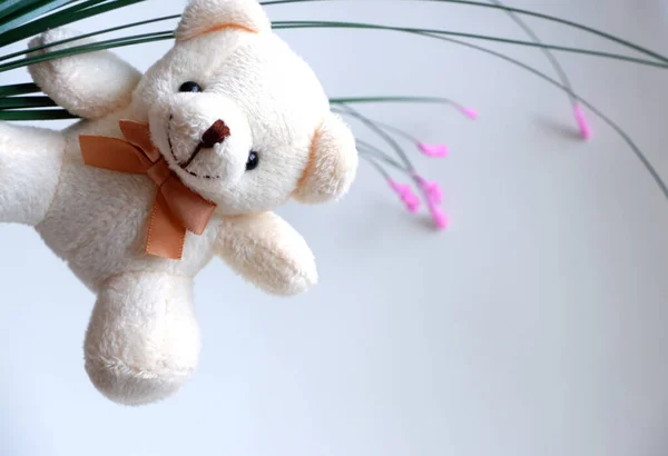 Soft toy bear, hanging on a branch.