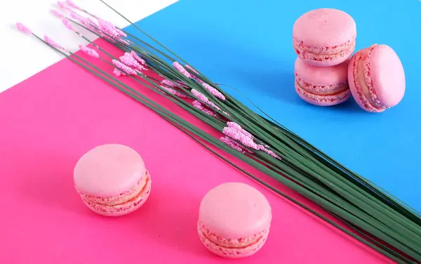 Macarons Sur Fond Rose Bleu Bonbons — Photo