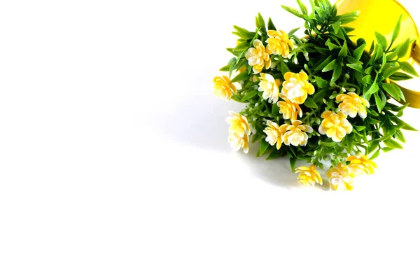 Piękne Kwiaty Białym Tle Nadaje Się Tła Reklamowego Mockup — Zdjęcie stockowe