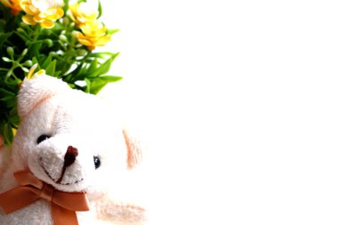 Beyaz arka planda yumuşak bir ayı. Yumuşak oyuncak.