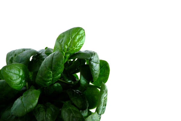 Spinach on a white background. Beautiful green leaves. Healthy food