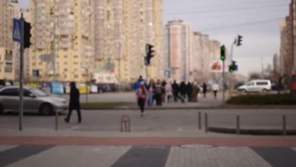 Pedestrians Crossing Road Green Traffic Light Signal — Stockvideo