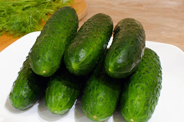 Green Cucumbers White Plate — Stock Photo, Image