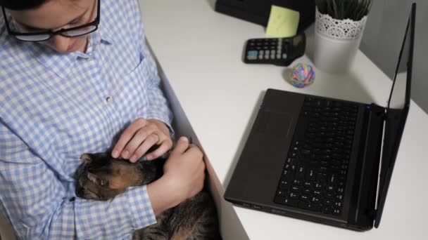 Gadis membelai kucing. Wanita duduk di samping meja dan memegang kucing tabby dalam pelukannya dan stroke dia — Stok Video