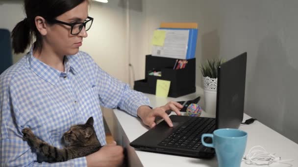 Mujer trabaja en el ordenador portátil y sostiene el gato en sus brazos, ella se sienta en el escritorio y los tipos en el teclado de la computadora — Vídeos de Stock