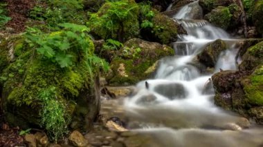Ormanın derinliklerindeki kayaların arasındaki dere şelalesi 4k zaman atlaması