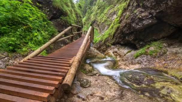 Strumień Górski Głęboko Lesie Drewnianym Mostem Czas Upływu — Wideo stockowe