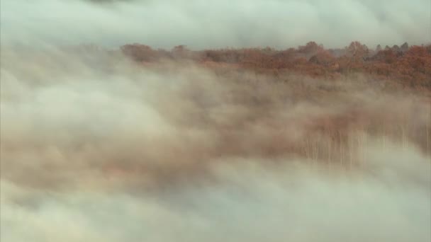 Инверсионные Облака Краю Леса — стоковое видео